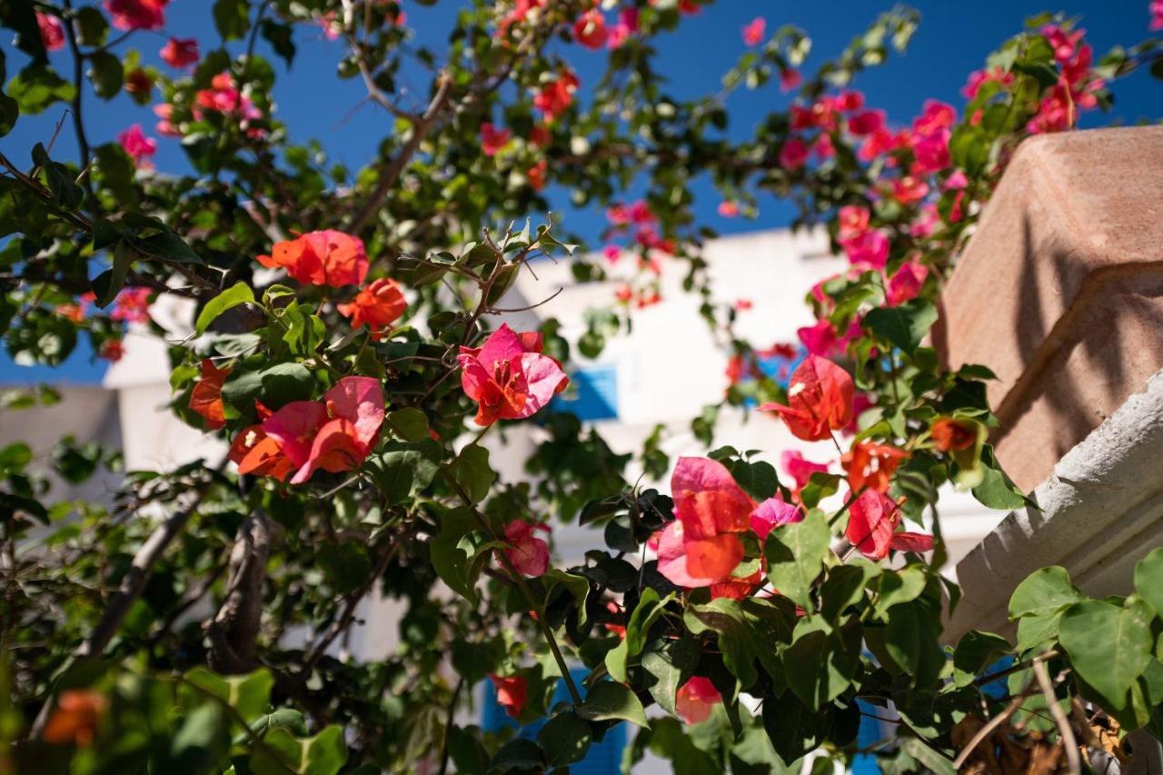 Casa Vacanze 21 Aprile - T Calasetta Εξωτερικό φωτογραφία